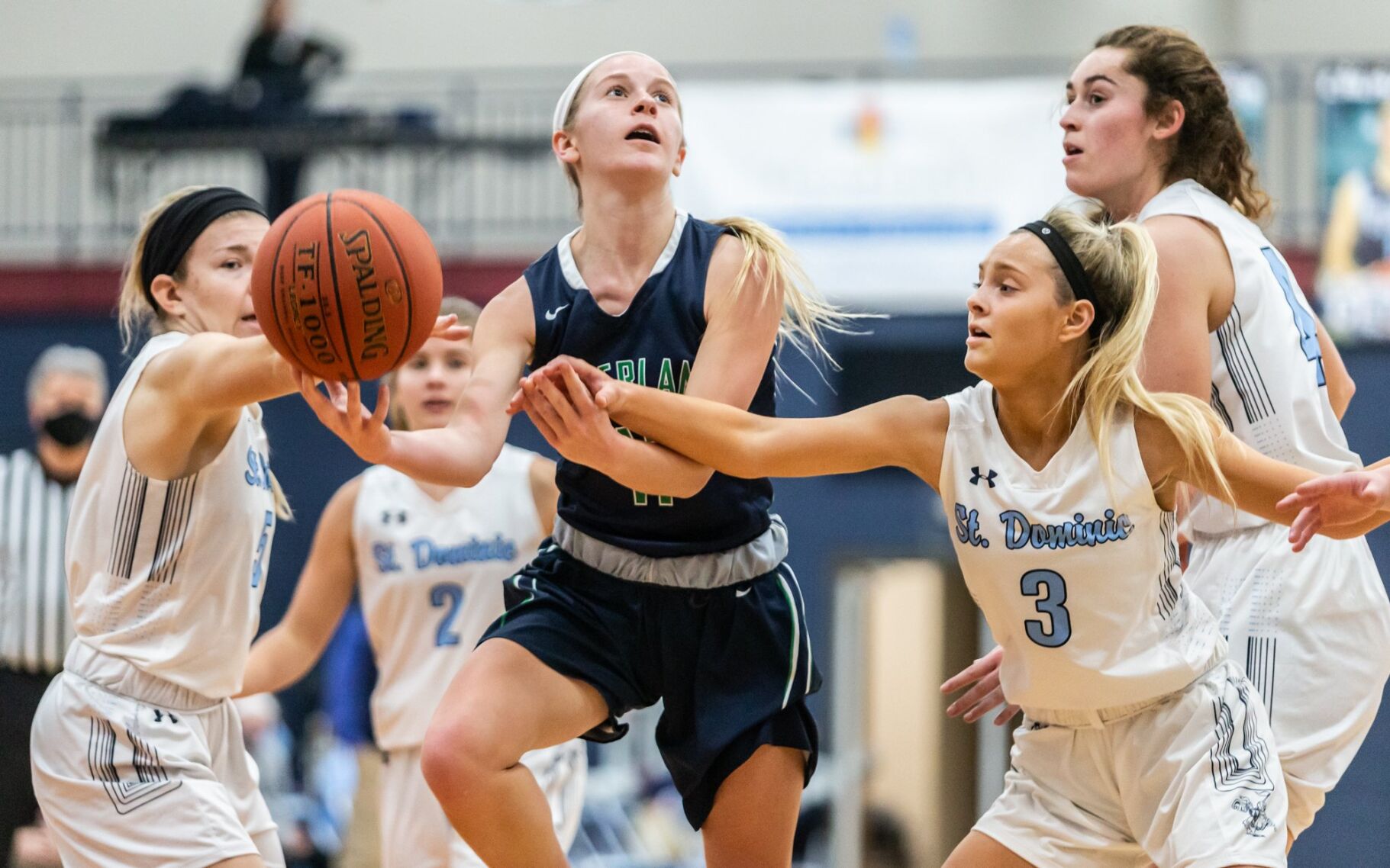 St. Dominic vs. Timberland girls basketball